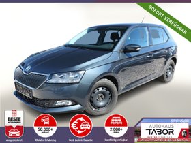 SKODA Fabia 1.0 TSI 110 DSG Ambition Nav PDC SHZ