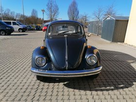 VW KÃ€fer 1300 zum restaurieren 
